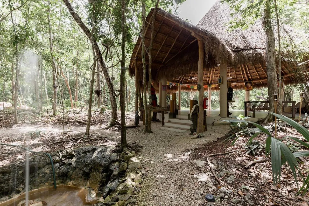 Cachito De Cielo Luxury Jungle Lodge تولوم