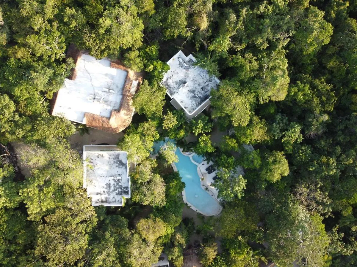 Cachito De Cielo Luxury Jungle Lodge تولوم